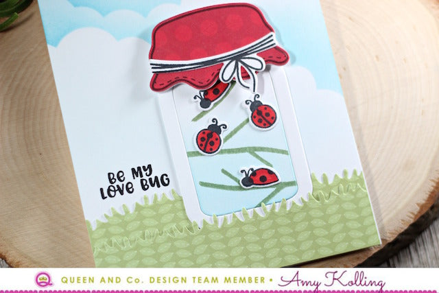 For the Love of Bugs- Bug Jar Kit