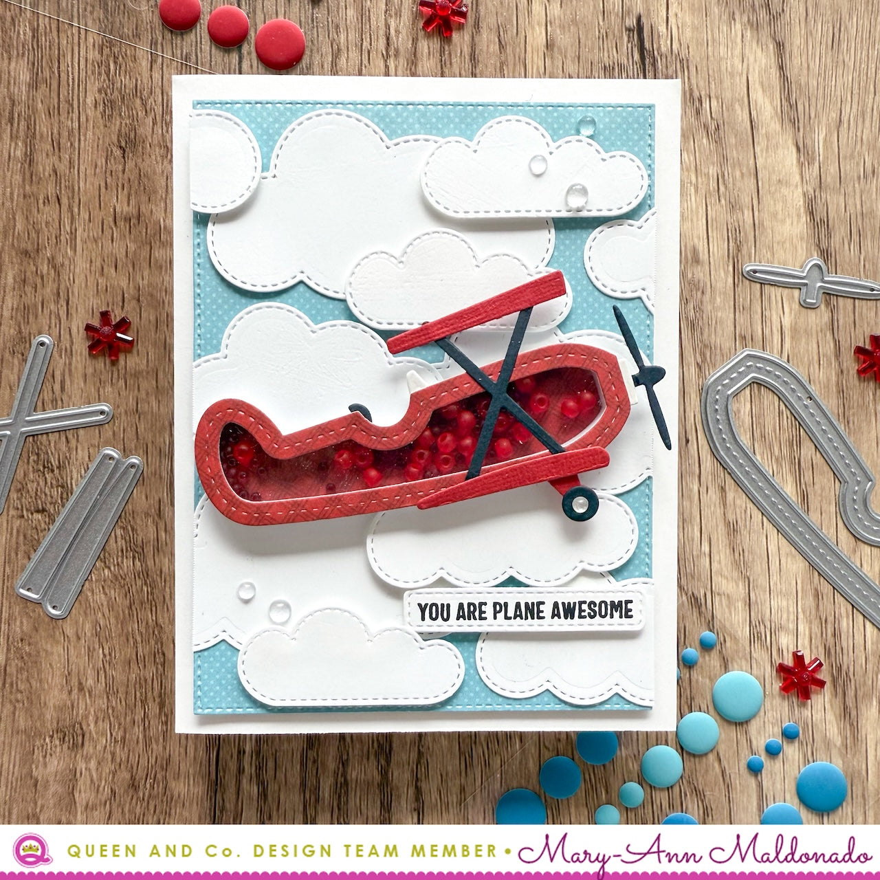 Air & Sea Shaped Shaker