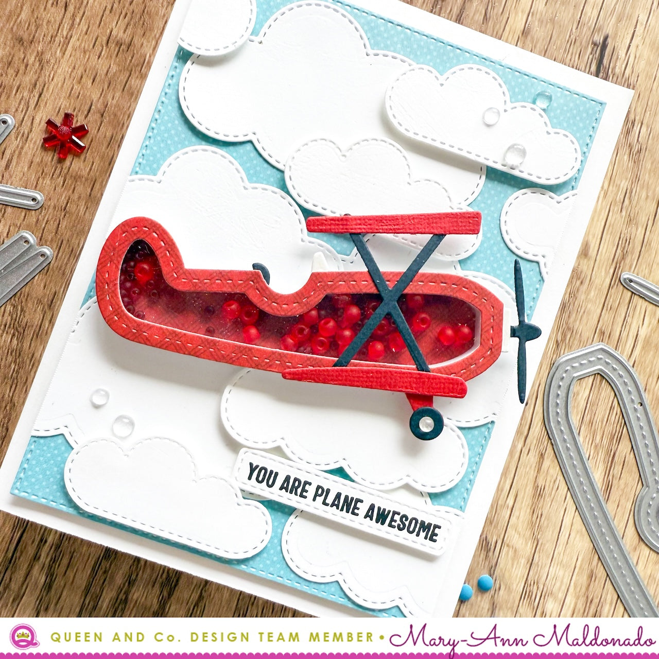 Air & Sea Shaped Shaker