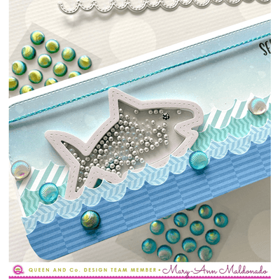 Sea Shell Bundle